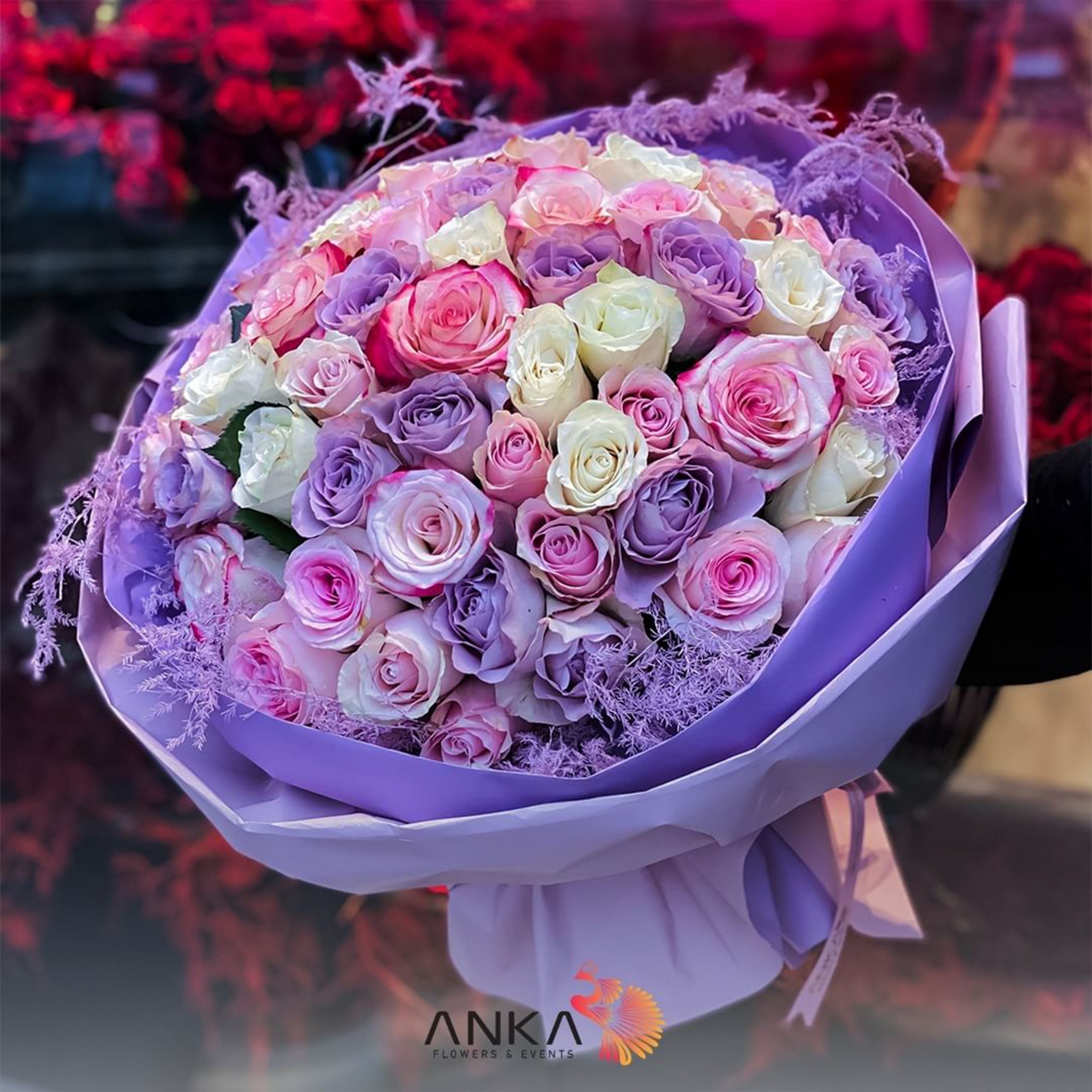 Image Slider